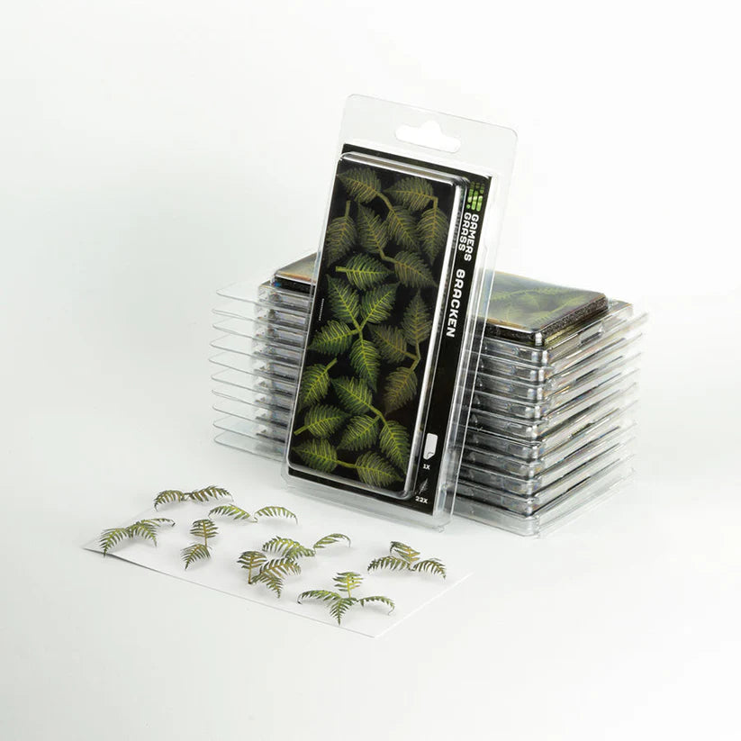 Deer Fern