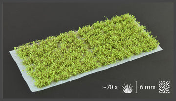 Green Shrubs