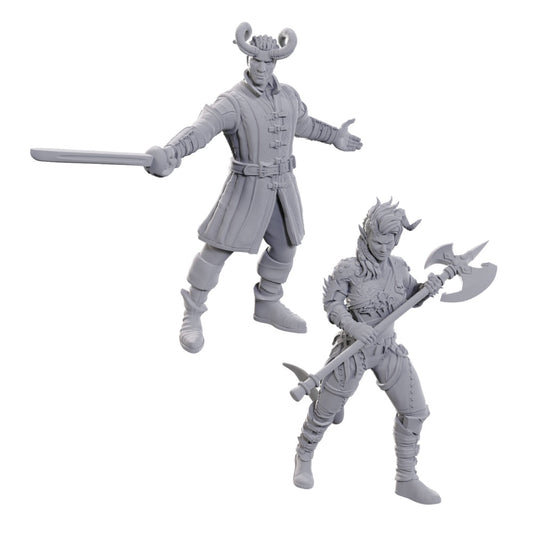 Nolzur's Marvelous Miniatures: Special Edition – Baldur's Gate 3: Wyll & Karlach